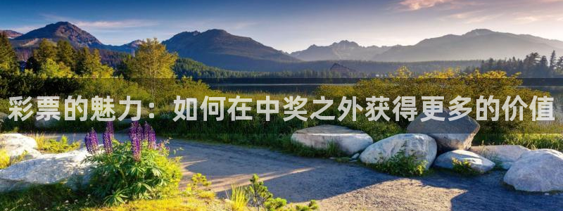 bg大游平台：彩票的魅力：如何在中奖之外获得更多的价值