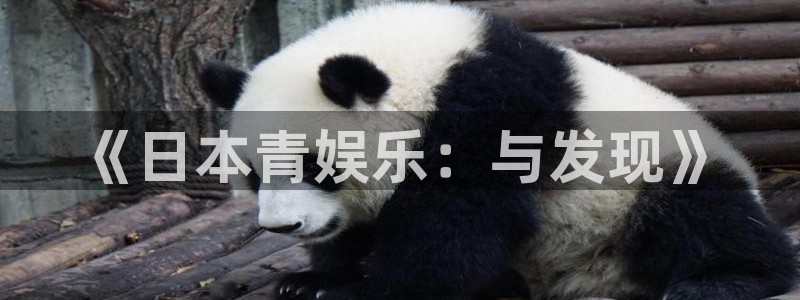 bg大游app：《日本青娱乐：与发现》